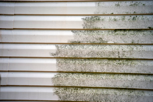 Best Carpet Removal and Disposal  in Catawissa, PA